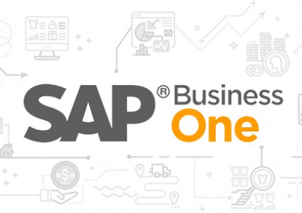 sap business one academy